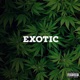 Exotic feat Luh twizzy Single