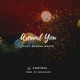 Around You feat Breana Marin Single