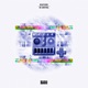 In Control Single