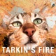 Tarkin s Fire Single
