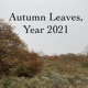 Autumn Leaves Year 2021 Single