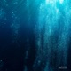 Bubbles of Calm Single