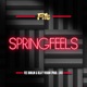 Springfeels feat Fee Dublin Blay Vision Single