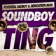 Soundboy Ting Single