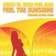 Feel the Sunshine Summer Anthem 2008 EP
