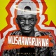 Mushawarukwa Single
