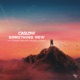 Something New Single