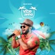 Vibezinha Verão 2020 Ao Vivo EP