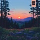 Together Single