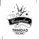 Picnic Single