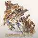 FINAL FANTASY XIV DAWNTRAIL EP6