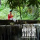 Study Single