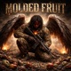 MOLDED FRUIT Single