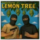 Lemon Tree Single