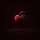 Entre Sonhos y Amor Single