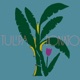 Tulipa Ruiz e João Donato Single