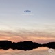 Câlin Single