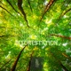 Deforestation Single
