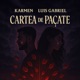 Cartea de Pacate Single