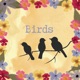 Birds Single