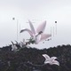 Deal with it Enkei remix Single