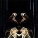 Motus III Single