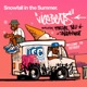 Snowfall In The Summer Single