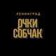 Очки Собчак Single