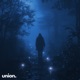 evernight Single