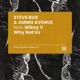 Why Not Us feat Mikey V Single