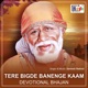 Tere Bigde Banenge Kaam Single