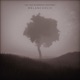 Melancholic Single