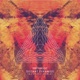 Distant Pyramids Quixotic Remix Single