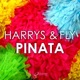 Pinata Single