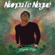 Nunca Te Negué Single