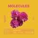 Molecules Single