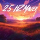 25 Hz Mauer Single