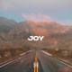 Joy feat Lydia Risova Single