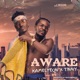 Aware feat Tinny Single
