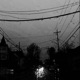 SUICIDE Single