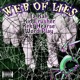 Web of Lies feat Takah Wordplay Kidcrusher Single