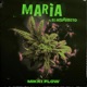 María Libre feat Insurrecto Bolígrafo Single