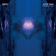 Alter Echo Les Gordon Remix Single