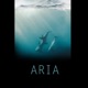 Aria Single