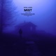 Mist Slowed Reverb Single