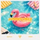 Summer Vibes On Repeat Single