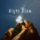 Night Glow feat salto Single