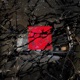GA IM FLUR feat CONRUSO JRose xxPac TALIE IN320 20MIN Single