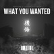What You Wanted feat Livingston Crain Single