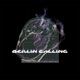 Berlin Calling Single
